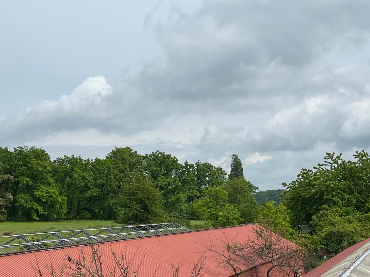 Monstera I Apartman Kolín Kültér fotó