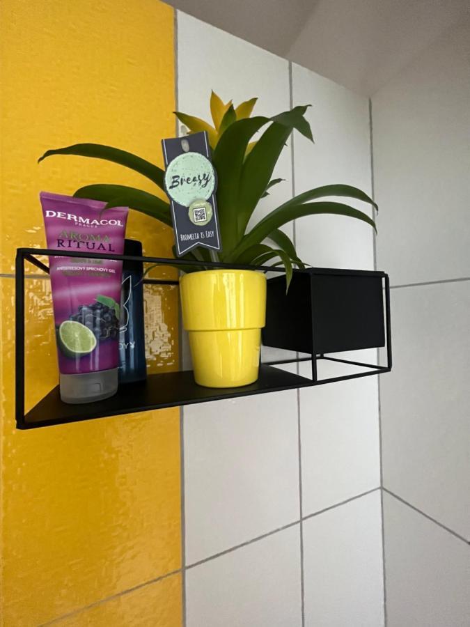 Monstera I Apartman Kolín Kültér fotó